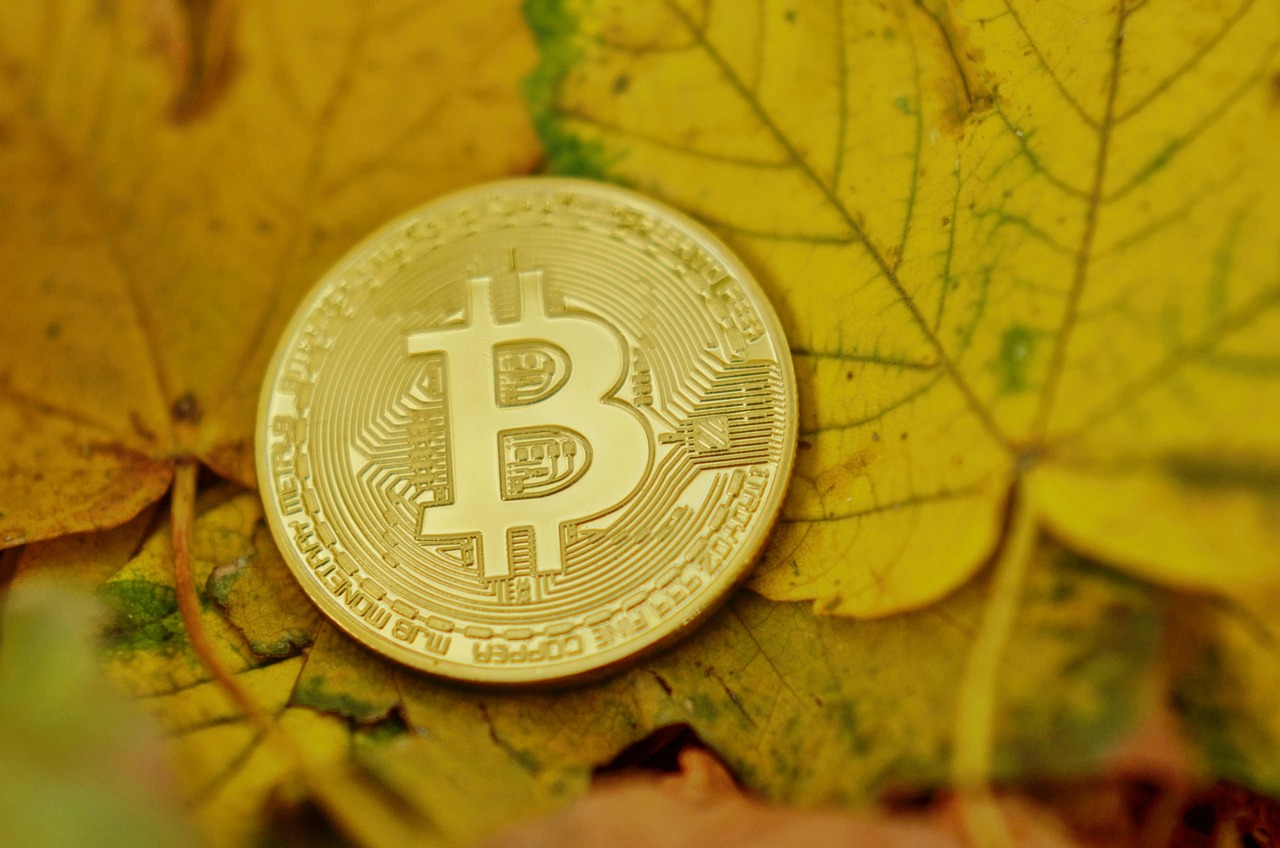 投资比特币和以太币哪个比较赚钱？Glassnode数据：BTC连续2年胜出